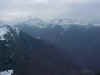 CRABERE ET BRUME.jpg (39902 octets)